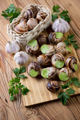 Bourgogne snails with garlic butter and herbs, studio shot