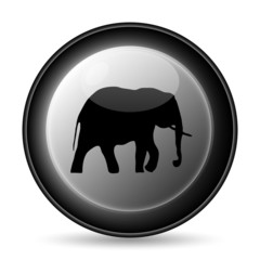 Elephant icon