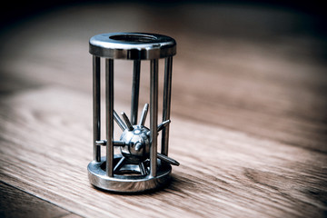 Hedgehog in the cage