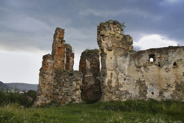 Fototapeta na wymiar ruins of an ancient Ukrainian castle