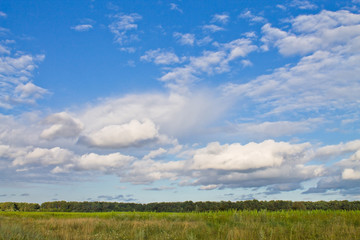 green meadow and blue sky with beautiful clouds