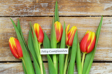 Feliz cumpleanos (happy birthday in Spanish) card with tulips