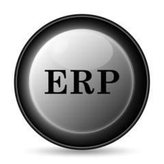 ERP icon