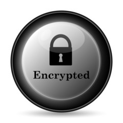 Encrypted icon