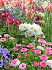 massif printanier © hcast