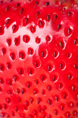 macro strawberry