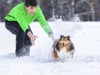 junger Mann spielt mit Hund (Shetland Sheepdog) im Schnee