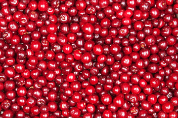 red cherry