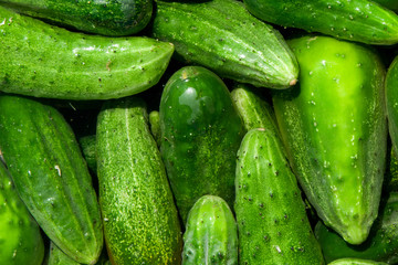cucumbers