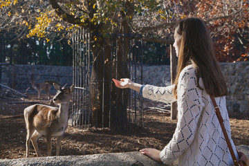 Young beautiful girl and small deer in city zoo