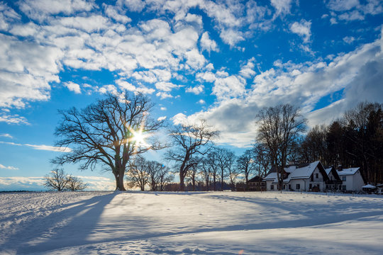 WinterLandscape