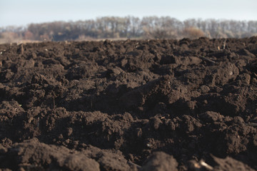 Black soil plowed field