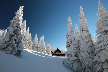 Cottage surrounded by winter scenery in the mountains