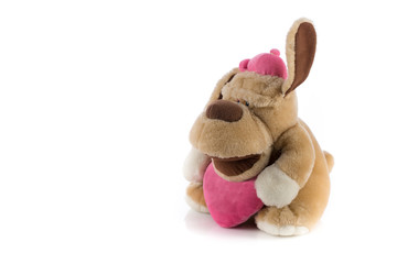 Isolated plush toy dog on white background