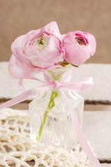 Pink persian buttercup flowers (ranunculus) in crystal vase