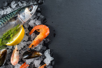 Fresh catch whole fish and seafood on ice, cooking concept