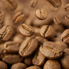 Closeup of coffee beans with focus on one