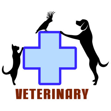 Cat healthcare medical insurance. Veterinary clinic. Pixel perfect,  editable stroke line icon Stock Vector Image & Art - Alamy