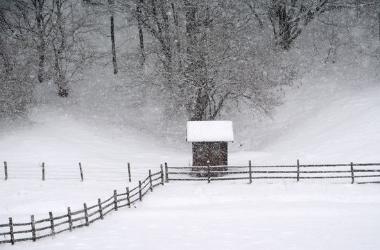 Blizzard winter landscape