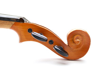 violin on white background