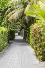Green Hotel Way, Seychelles