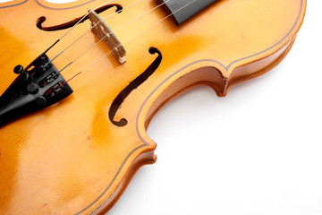 Obraz premium violin on white background