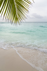 Fototapeta na wymiar Beach and Palm Leaf, La Digue, Seychelles