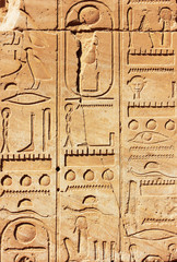 Old Egypt Hieroglyphs