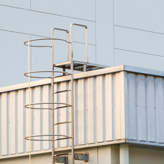 Factory ladder on the roof