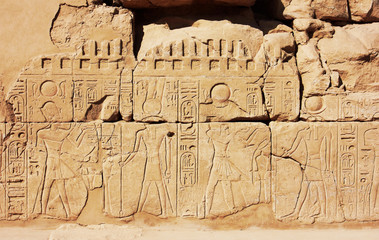 Old Egypt Hieroglyphs
