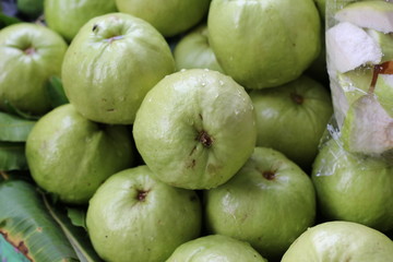 guava fruit of thailand