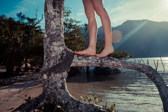 Legs of young woman in tree