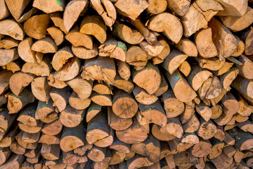 Umgeschnittene Baumstämme