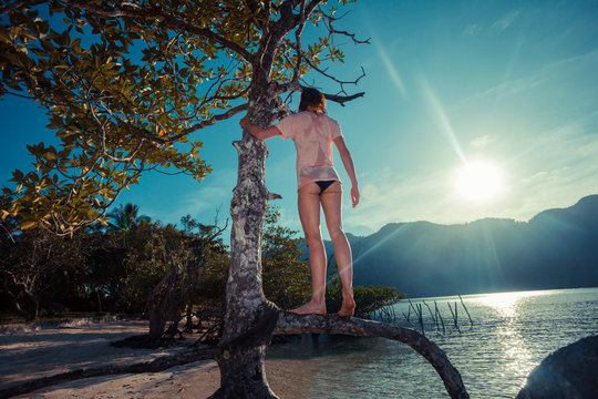 Woman climbing tree on tropical beach