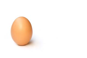 eggs on white background
