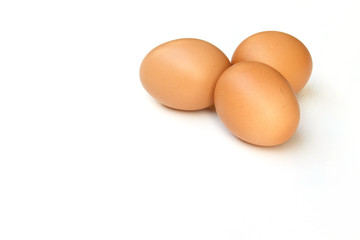 eggs on white background