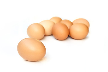 eggs on white background