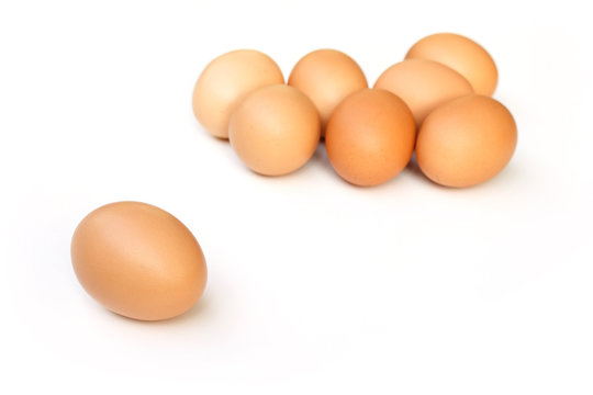 eggs on white background