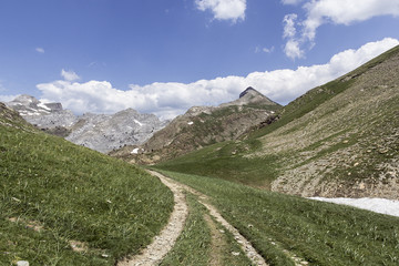 Fototapeta premium footpath