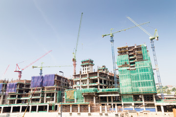 Construction site with multiple cranes