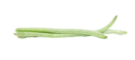 Vigna unguiculata sesquipedalis
