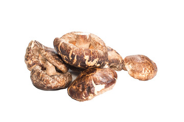 Shitake mushrooms isolated on white background