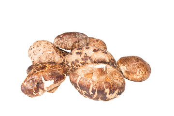 Shitake mushrooms isolated on white background