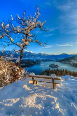 Wall murals Summer Aview of Bled in the winter morning