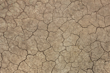 Fototapeta premium arid land