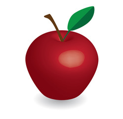 red apple in white background, red apple vector, apple vector