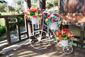 Fototapeta na wymiar Ranunculus flowers in a bicycle vase