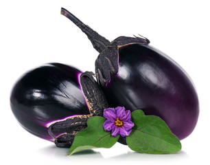 Fresh aubergine
