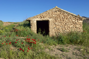 Rural building