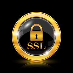 SSL icon